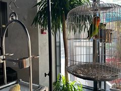 -岁粤Moon·湖景餐厅(月光码头店)