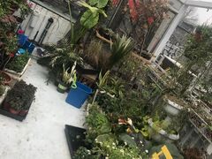-小时光咖啡馆(北锣鼓巷店)