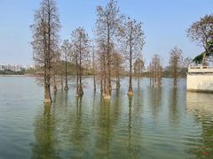 -顺峰山公园