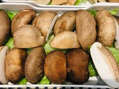 鲜菇-新兴·金羊座·粤菜点心(乐峰店)