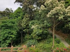 -广州市帽峰山景区