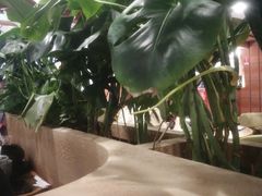 -云海肴汽锅鸡·云南小炒(曲江大悦城店)