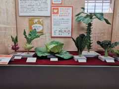 -大阪市立自然史博物馆