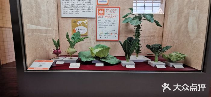 大阪市立自然史博物馆图片