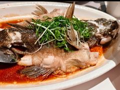 -新兴·金羊座·粤菜点心(乐峰店)