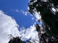 -新荟城(望京店)