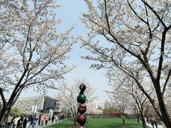 -静安雕塑公园
