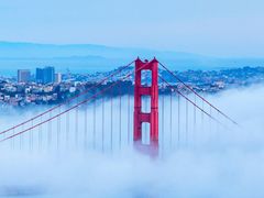 -老赵面店(大西路店)