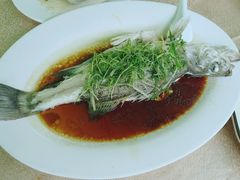清蒸鲈鱼-崖口红树林海鲜餐厅