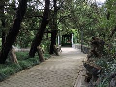 -叶家花园