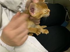 -百信宠物医院(东升街店)