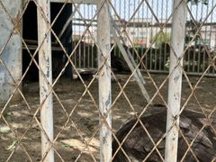 -党河风情线国家水利风景区