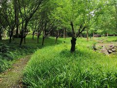 -绍兴鉴湖君澜大酒店