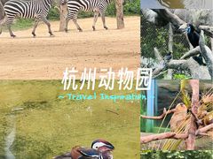 -杭州野生动物世界