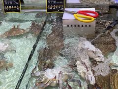 -大润发(张江店)