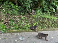 -西岭雪山大飞水景区