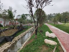 -白鹭湾湿地公园