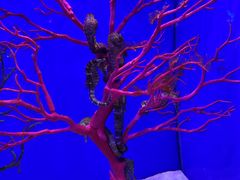 -多彩贵州城极地海洋世界