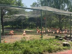 -石家庄市动物园