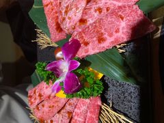-炼火烤肉店