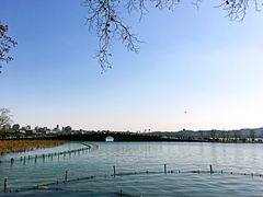 -杭州西湖风景名胜区-北街寻梦
