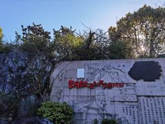 -上海吴淞炮台湾国家湿地公园