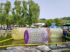 -朝阳公园游乐园