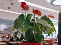 -康师傅私房牛肉面(申虹餐厅店)