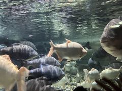 -成都浩海立方海洋公园