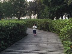 -艾溪湖湿地公园