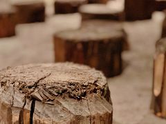 -元代水闸遗址博物馆