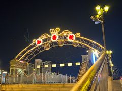 -武汉知音号
