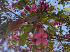 -元大都城垣遗址公园