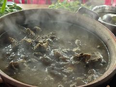 -霞姐屯昌枫木香草鸭店(海螺店)