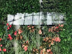 -WFC会仙楼观景台