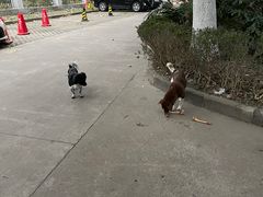 -西贝(金桥店)