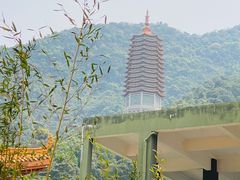 -深圳仙湖植物园