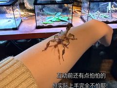 -重庆欢乐海底世界