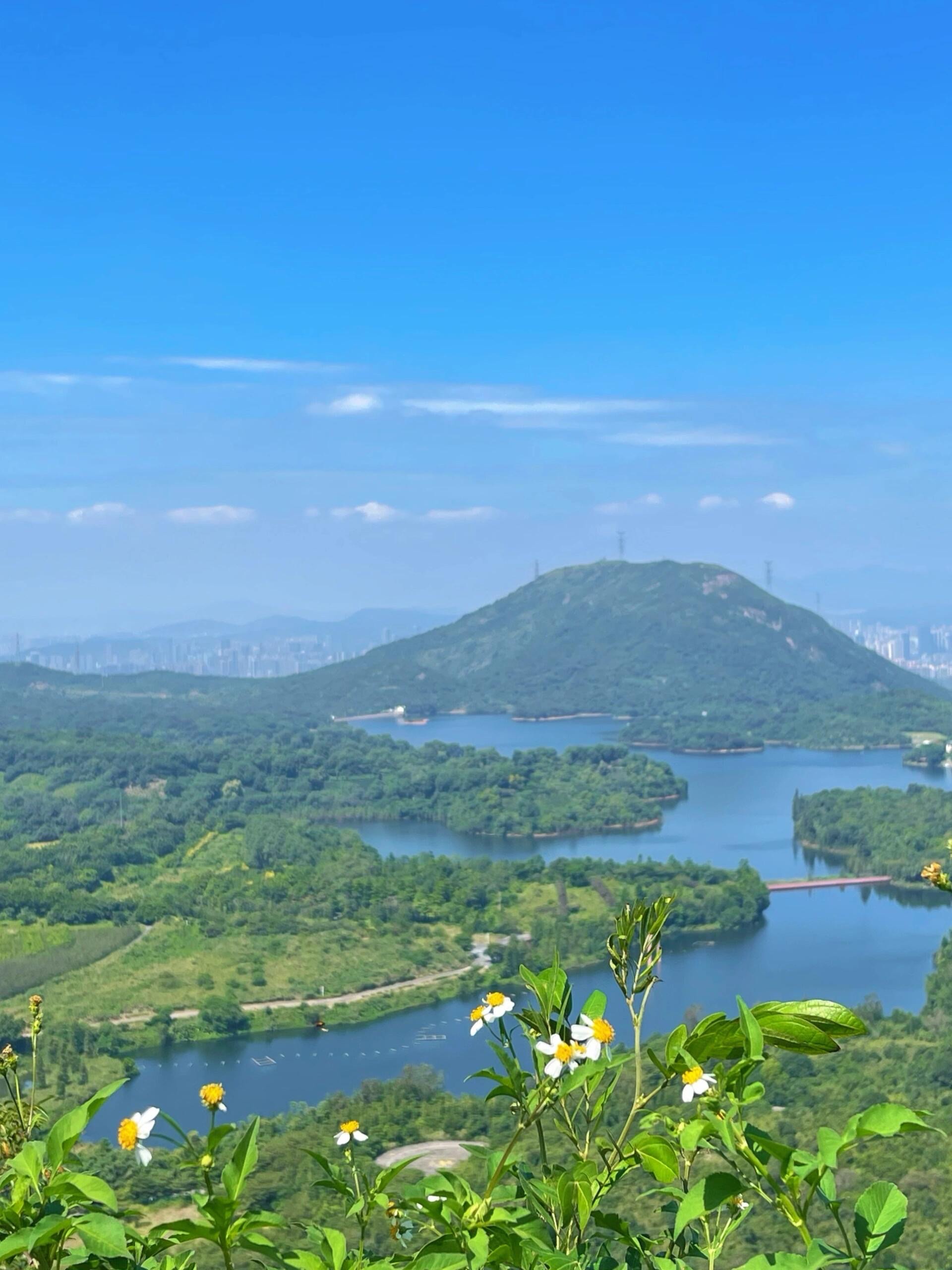 大华海派风景图片