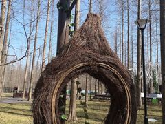 -黄海国家森林公园