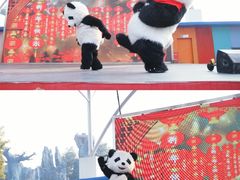-南湖梦幻岛