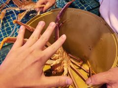 -今鲜源大酒店·中华餐饮名店(新湛路店)