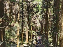-上色见熊野座神社