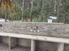 -重庆睡佛山森林公园