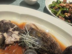 -望乡楼上海菜(日月光店)