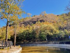 -白水寺森林公园