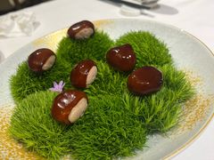 -鹿园 MOOSE(长宁店)
