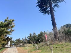 -刘公岛景区