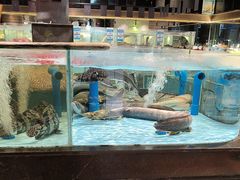 -阿伟海鲜楼·福建菜(延寿店)