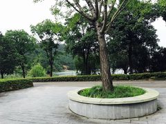 -逸廊大堂吧-下午茶·简餐-千岛湖自由洲际殿